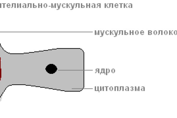 Кракен сайт 16