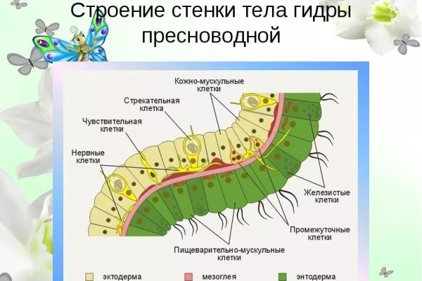 Не получается зайти на кракен