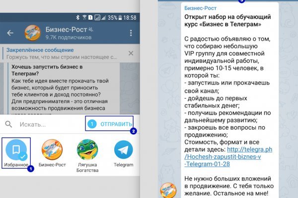 Кракен адрес сайта