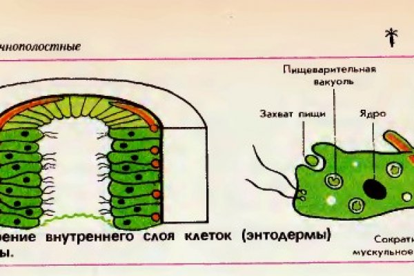 Kraken onion вход